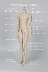 WonderlandDoll 70cm BJD body